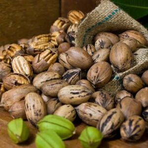 Pecan Shell