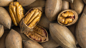 Pecan Nuts
