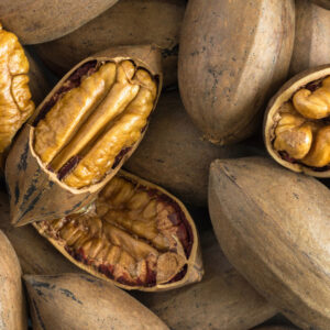 Pecan Nuts